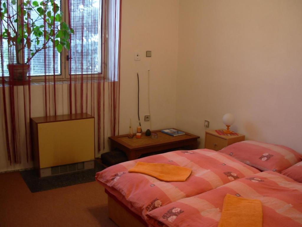 Penzion Hlinkova Pilsen Zimmer foto